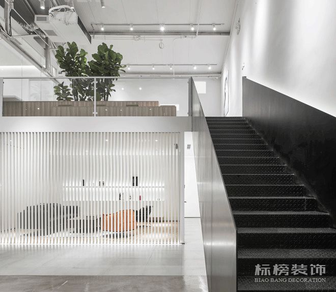 辦公室植物擺放植物有哪些，怎么擺放比較好？