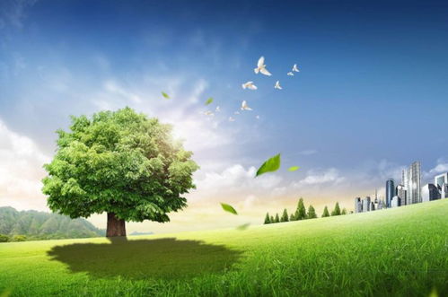 11 21 晴丨冷空氣降水降溫來(lái)了 烏魯木齊24日至28日投放儲(chǔ)備肉 加拿大小伙為新疆美食打call...