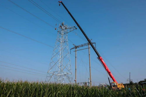 安陽供電公司 傾情服務重點民生工程，以人工裝卸服務答好災后重建電力答卷